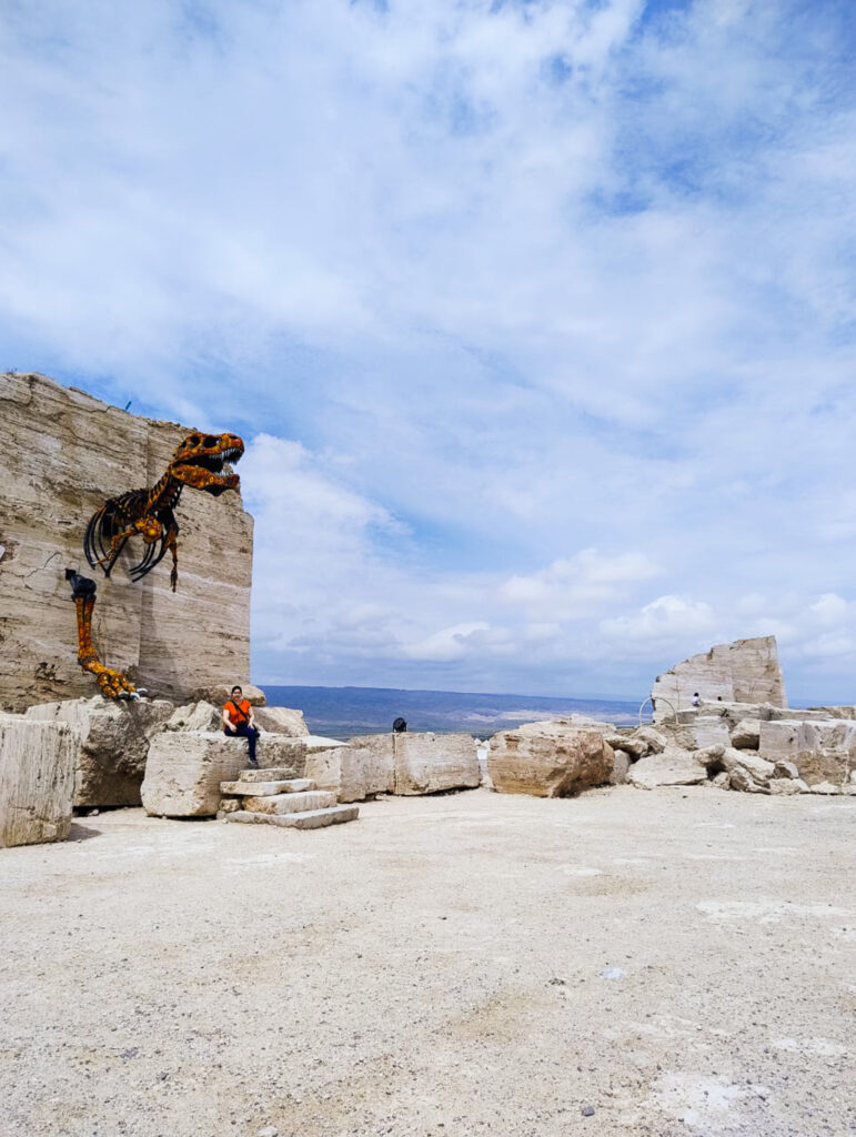 Foto con celular de un paisaje